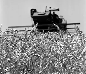 Harvesters: Grain harvesting, 1970