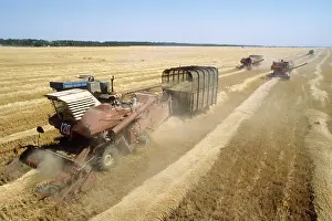 Mowing: Grain harvesting, 1979