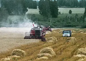 Tons: Grain harvesting, 2001