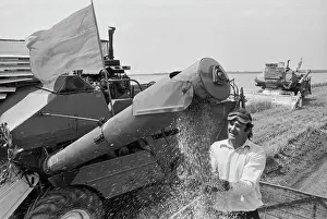 Artyom: Grain harvesting
