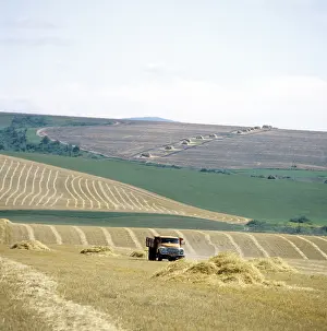 Altai: Grain harvesting in Altai, 1982