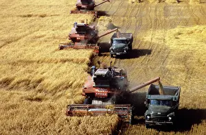 Kuibyshev: Grain harvesting in Bashkiria, 1983