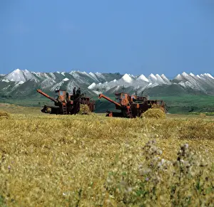 Vicinity: Grain harvesting in Belgorod region, 1982