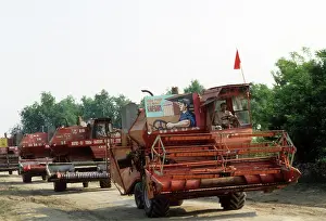 Harvesters: Grain harvesting in Stavropol territory, 1981