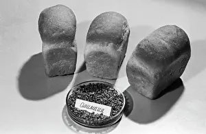 Loaves: Grain Technological Properties Assessment Laboratory