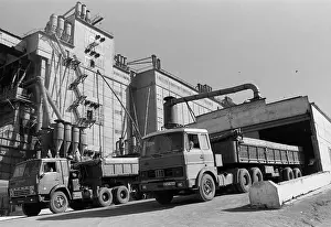 Trucks: Grain transported to Nizhneuvelsky grain elevator