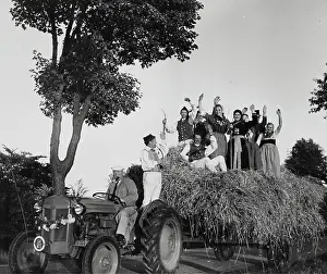 Grains: Graincrop in Denmark. About 1965. Photograph