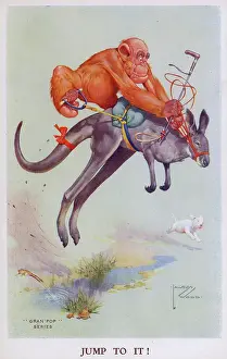 Granpop: Gran pop the orangutan monkey riding a Kangaroo