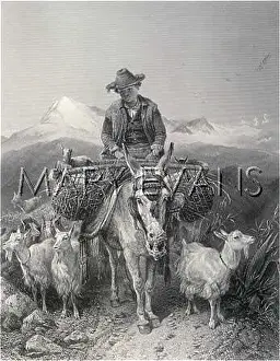 Goatherd: GRANADA GOAT HERD