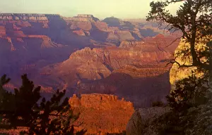 Chasm: Grand Canyon
