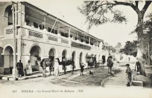 Colonade: The Grand Hotel du Sahara at Biskra