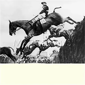 Notoriously: Grand National