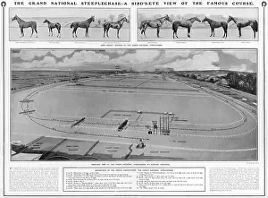 Manifesto: Grand National Course 1906