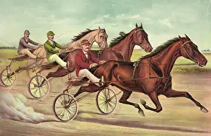 The grand pacer Mascot by Deceiver