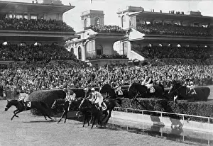 Auteuil: Grand Steeple chase at Auteuil
