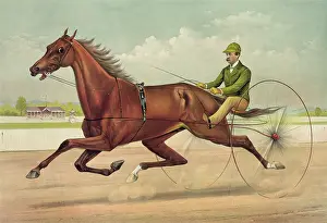 Ashland: The grand trotter Edwin Thorne, driven by John E. Turner: by