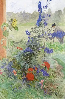 Blooms: Grandfather