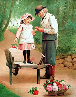 Removing: Grandpa Removing a thorn from his Rose