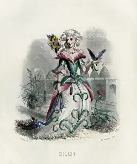 Grandville: GRANDVILLE CARNATION