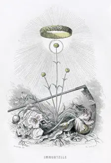 Grandville: Grandville Immortelle