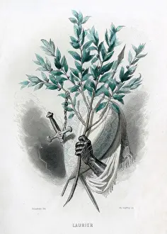Grandville: Grandville Laurel 1847