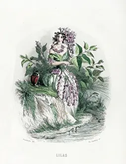 Grandville: Grandville Lilac 1847