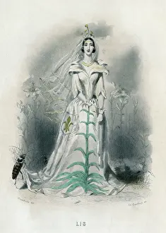 Grandville: Grandville Lily 1847