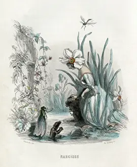 Grandville: Grandville Narcissus