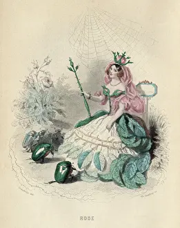 Grandville: Grandville Rose 1847