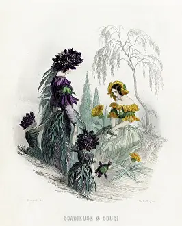 Grandville: Grandville Scabious 1847
