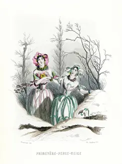 Grandville: Grandville Snowdrop 1847