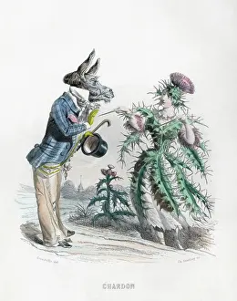 Grandville: Grandville Thistle 1847