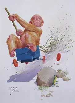 Orang: GRAN'POP A LA CARTE