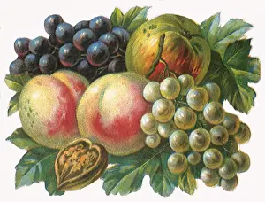 Peaches: Grape Apple Walnut