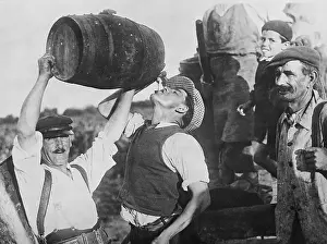 Bordeaux: Grape harvest at Bordeaux