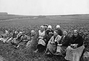 Wayside: Grape harvest in Durkheim, 1926