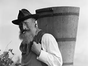 Husbandry: Grape harvest in Switzerland, 1930