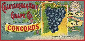 Erie: Grape Label