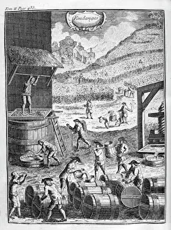 1700: Grape treading in winery, from the 1775 edition