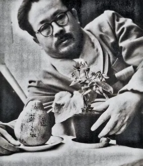 Recuperating: A Grapefruit from Ren Bishi's Children