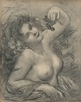 Faivre: Grapes