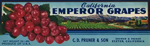 Luscious: Grapes and Coast