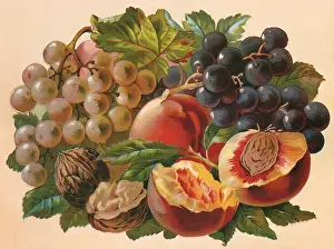 Nuts: Grapes, Peaches and Nuts