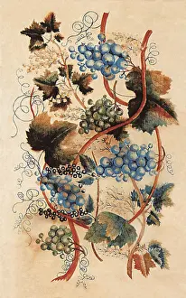 Grapevine: Grapevine
