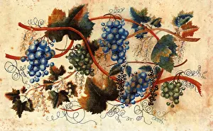Grapevine: Grapevine