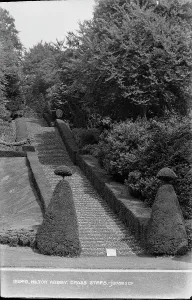 Milton: Grass Steps at Milton Abbey