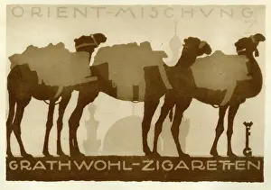 Retrographics Limited (ludwig Hohlwien): Grathwohl cigarettes