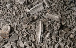 Goteborg: Grave bones, Goteborg Stadsmuseum, Gothenburg, Sweden