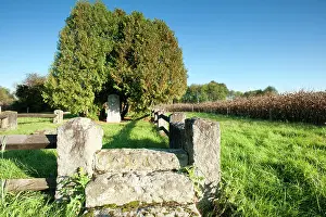 Sqdn: Grave of Hamilton Coolidge - Meuse - Argonne