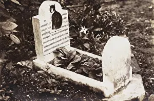 Grieving: Grave of a pet dog
